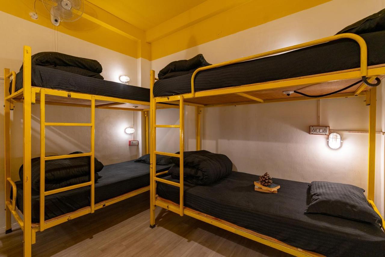 קאסול Jungle Hostel By Whoopers מראה חיצוני תמונה