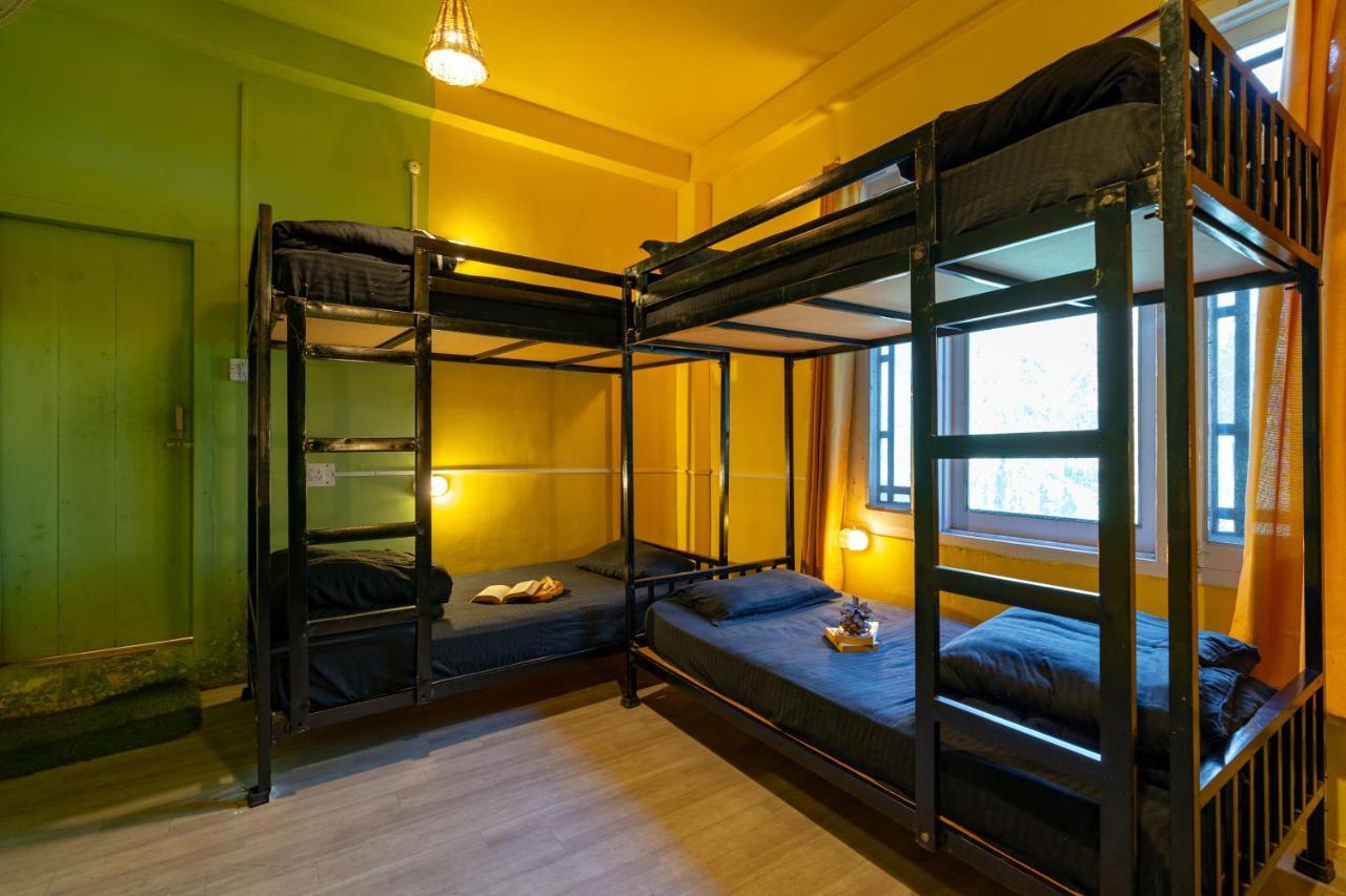 קאסול Jungle Hostel By Whoopers מראה חיצוני תמונה