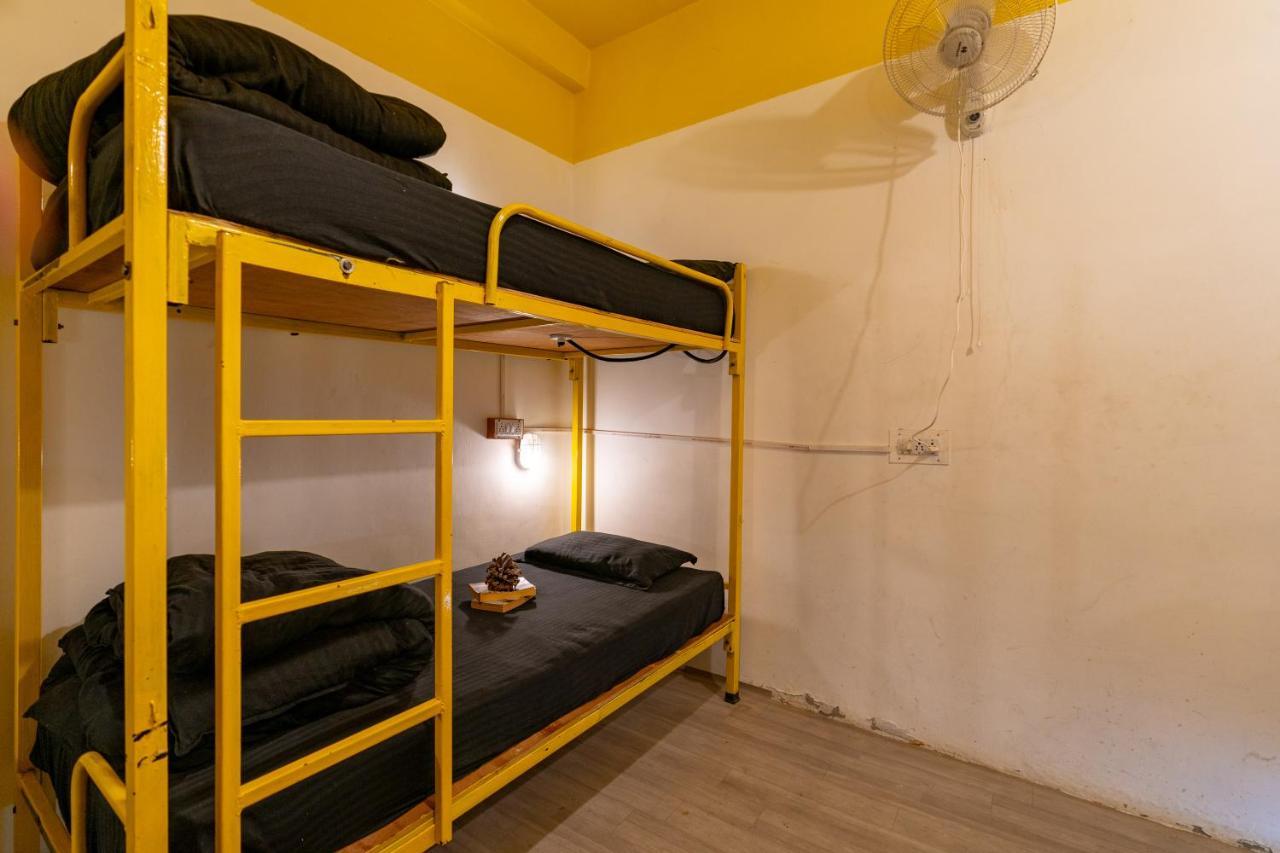 קאסול Jungle Hostel By Whoopers מראה חיצוני תמונה