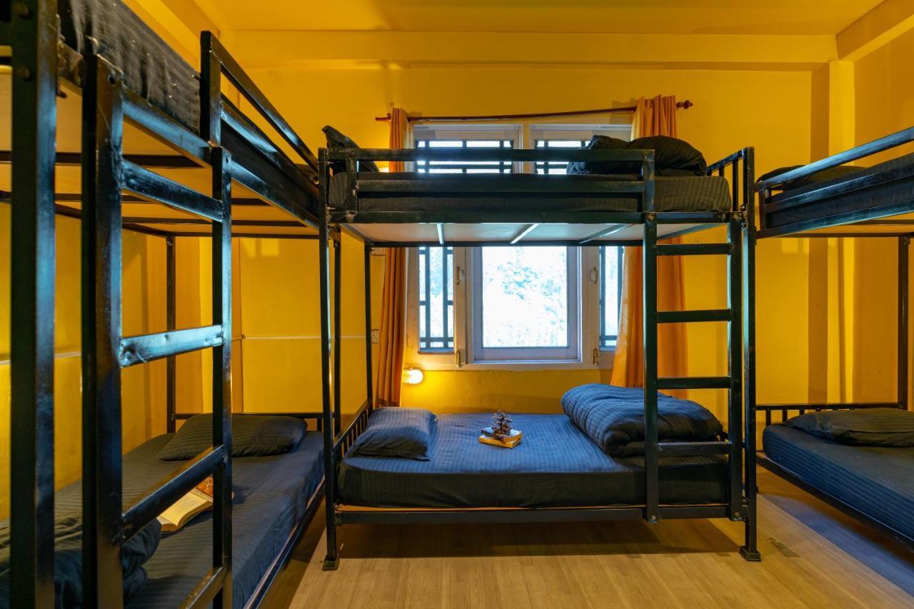 קאסול Jungle Hostel By Whoopers מראה חיצוני תמונה